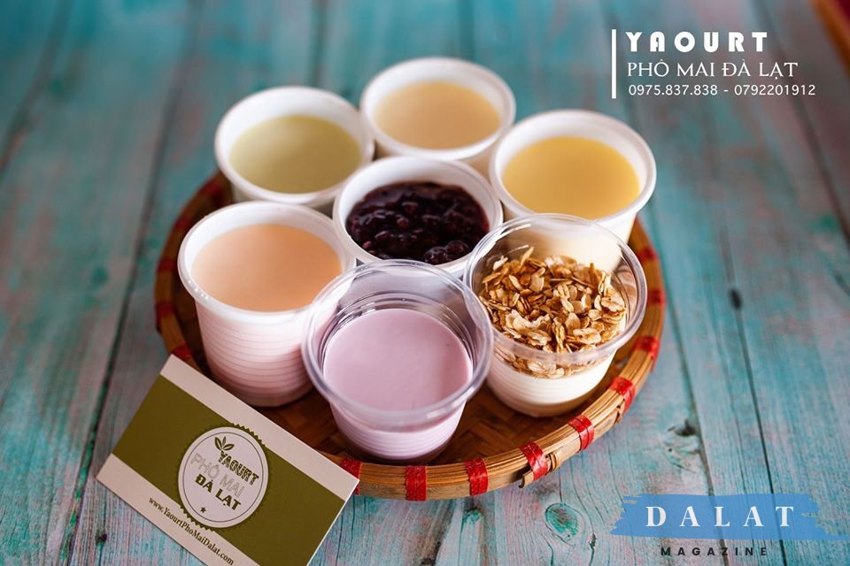 Review quán sữa chua phô mai Đà Lạt ngon nổi tiếng ai ăn cũng mua về